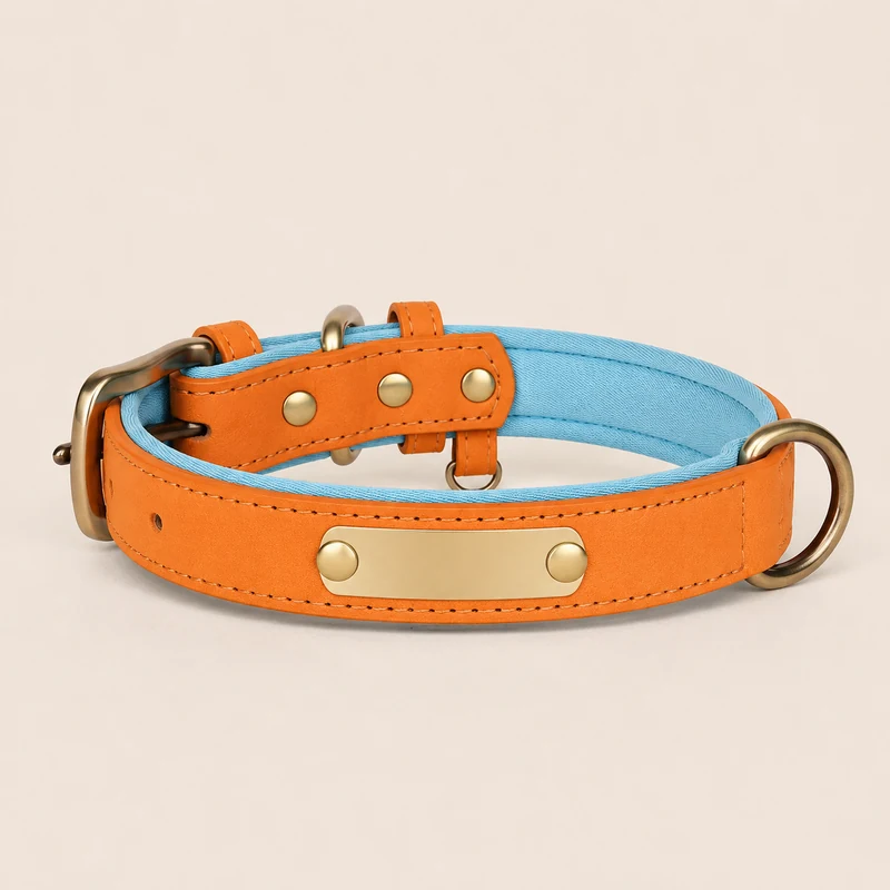 collier en cuir orange, doublure bleu ciel
