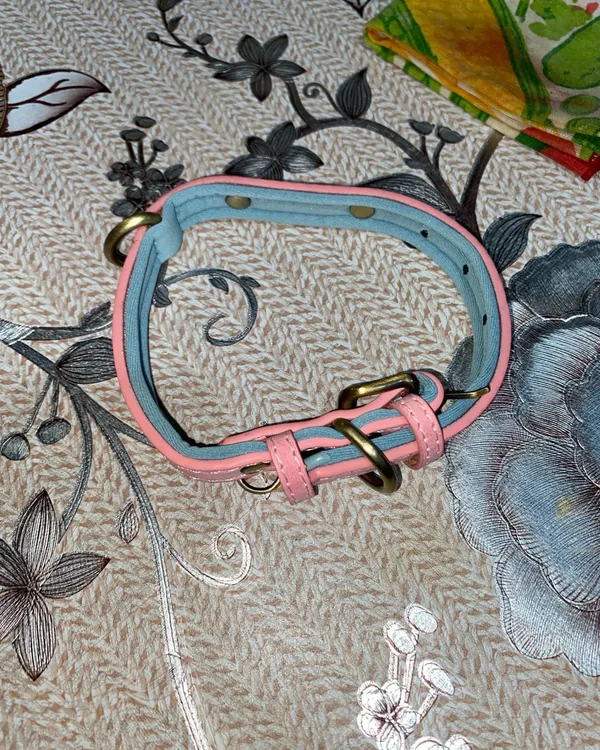 le collier posé, boucle et anneau visibles